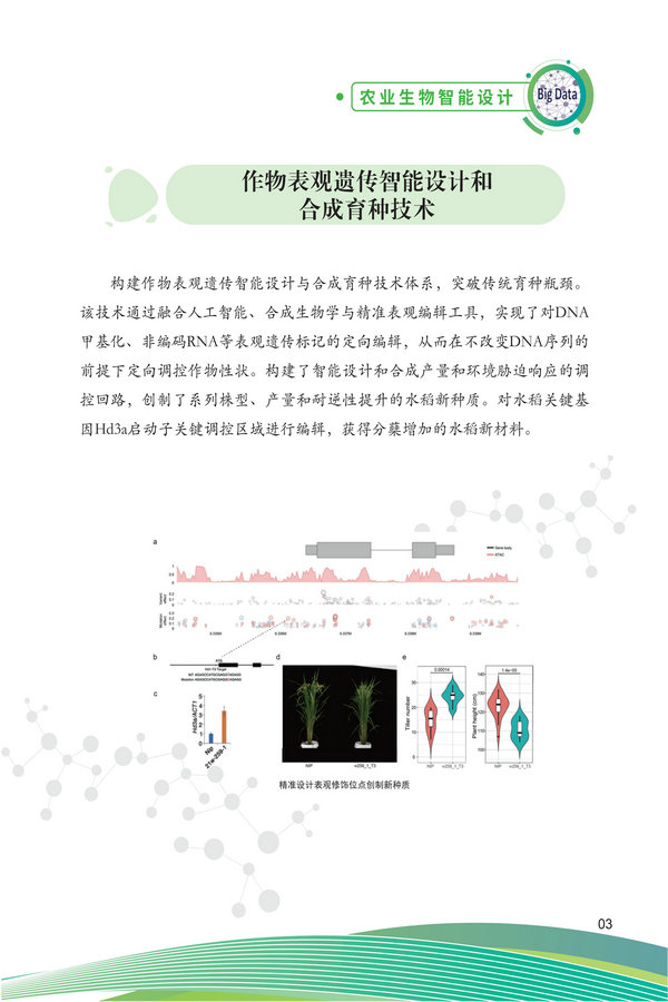 中国农科院生物所2026科技成果汇编2026.0403_13.jpg