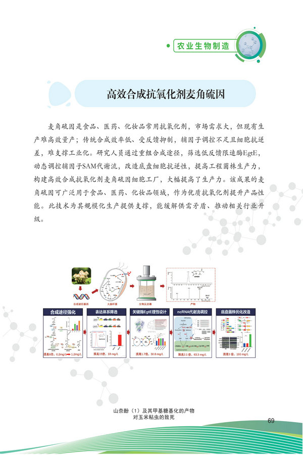 中国农科院生物所2026科技成果汇编2026.0403_79.jpg