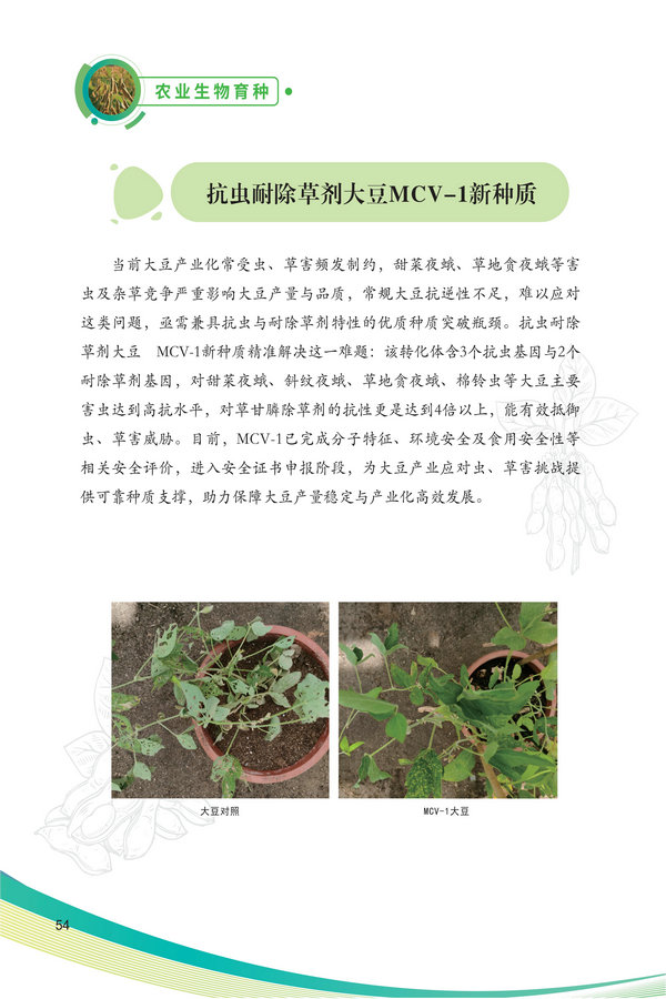 中国农科院生物所2026科技成果汇编2026.0403_64.jpg