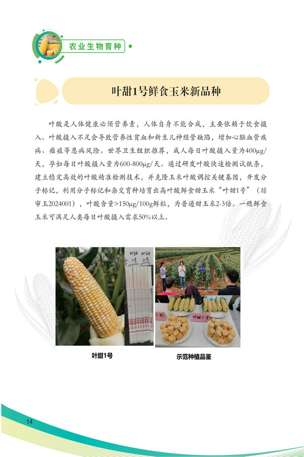 中国农科院生物所2026科技成果汇编2026.0403_24.jpg