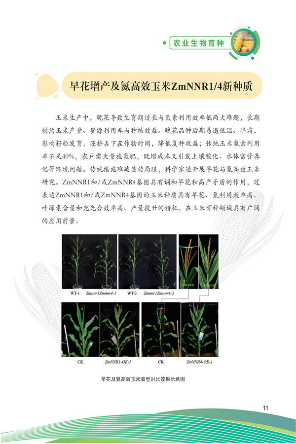 中国农科院生物所2026科技成果汇编2026.0403_21.jpg