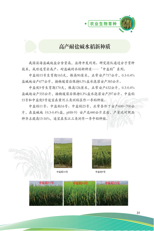 中国农科院生物所2026科技成果汇编2026.0403_41.jpg
