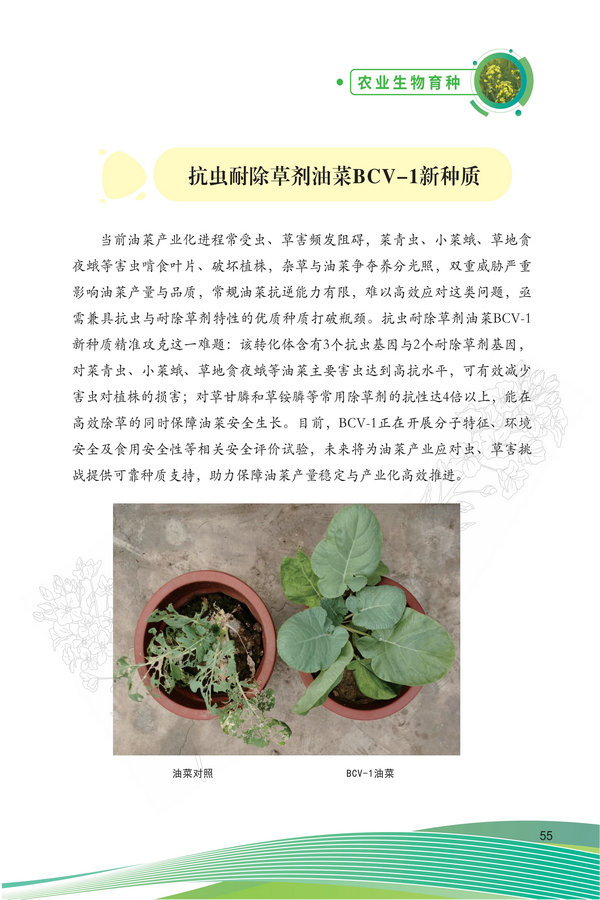 中国农科院生物所2026科技成果汇编2026.0403_65.jpg
