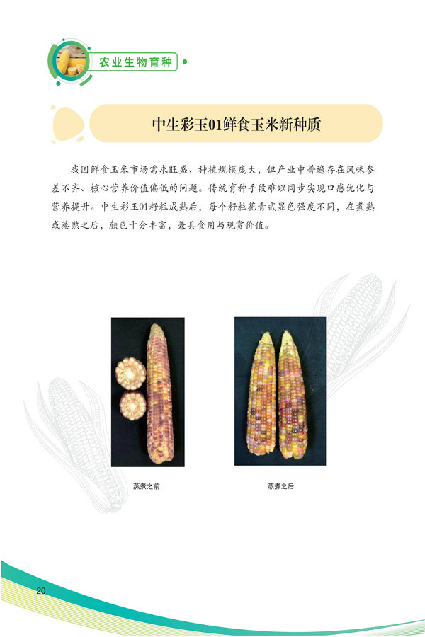 中国农科院生物所2026科技成果汇编2026.0403_30.jpg