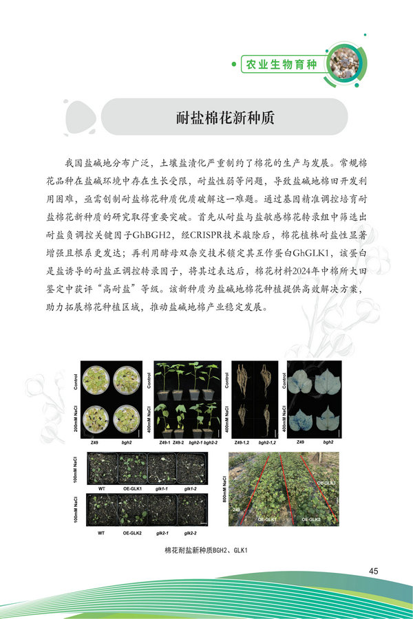 中国农科院生物所2026科技成果汇编2026.0403_55.jpg
