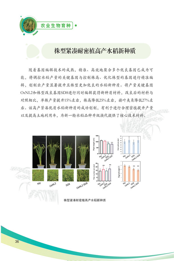 中国农科院生物所2026科技成果汇编2026.0403_46.jpg