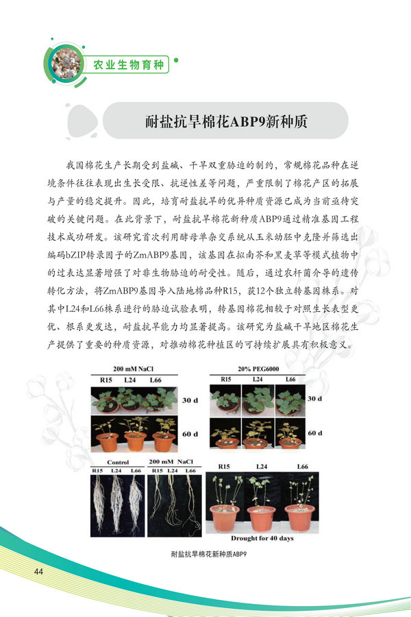 中国农科院生物所2026科技成果汇编2026.0403_54.jpg