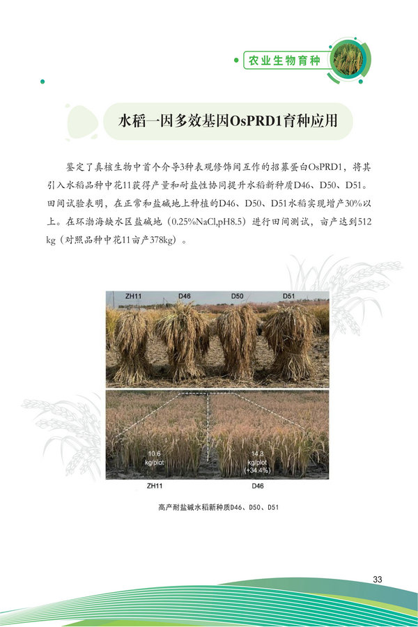 中国农科院生物所2026科技成果汇编2026.0403_43.jpg