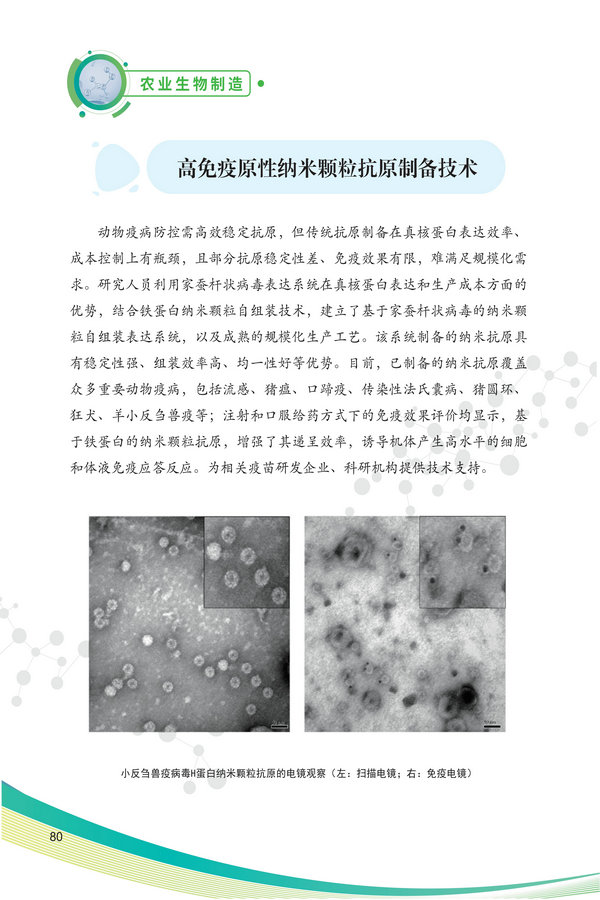 中国农科院生物所2026科技成果汇编2026.0403_90.jpg